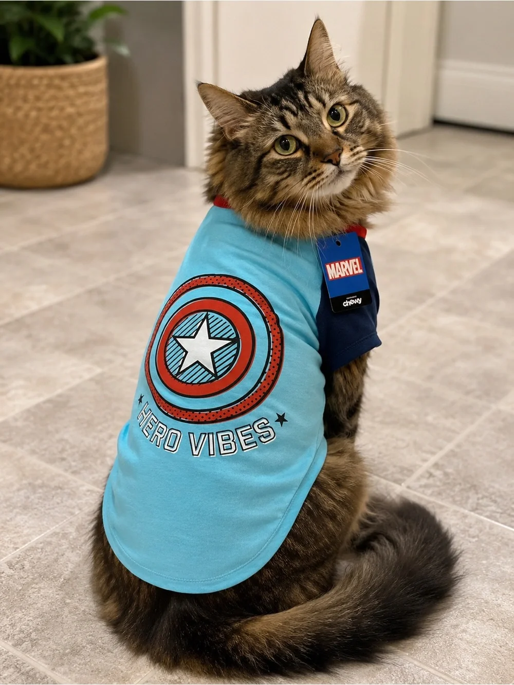 Marvel Captain America Hero Vibes Pet T-Shirt XL NWT Chewy